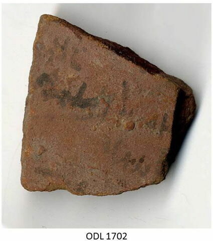 ostracon, image 1/1