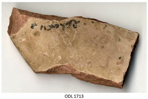 ostracon, image 1/2