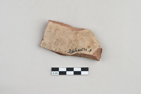 ostracon, image 1/4