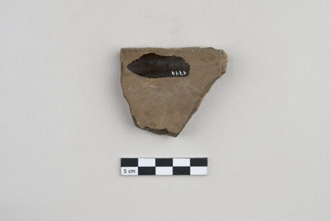 ostracon, image 2/3