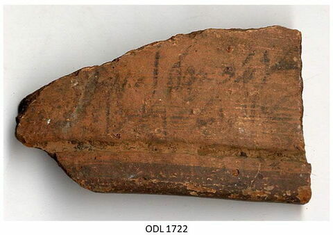 ostracon, image 1/1