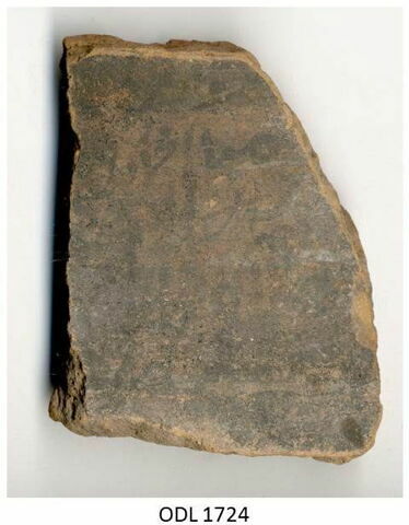 ostracon, image 1/1