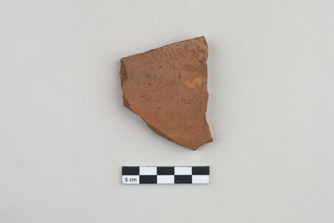 ostracon, image 1/3