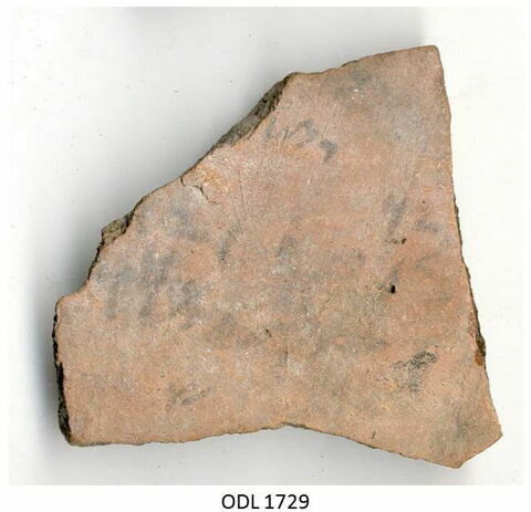 ostracon, image 1/1