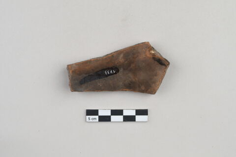 ostracon, image 2/3
