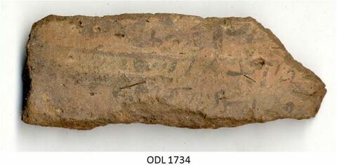 ostracon, image 1/1