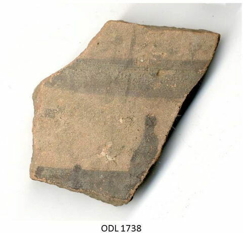 ostracon, image 1/1