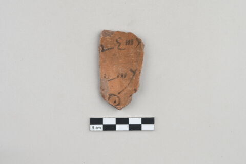 ostracon, image 1/3