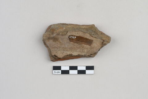 ostracon, image 2/3