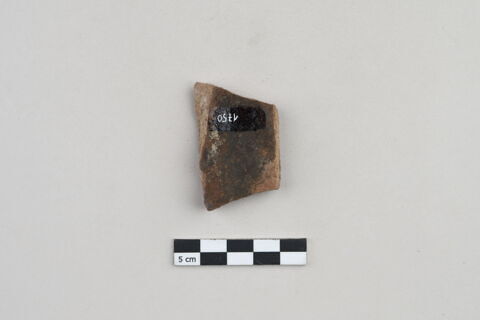 ostracon, image 2/4
