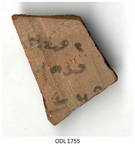 ostracon, image 1/1