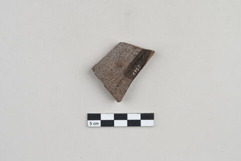 ostracon, image 2/3