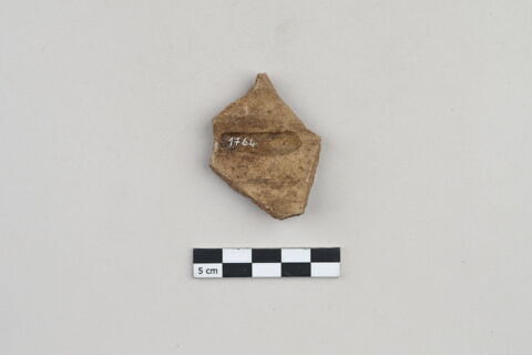 ostracon, image 2/3