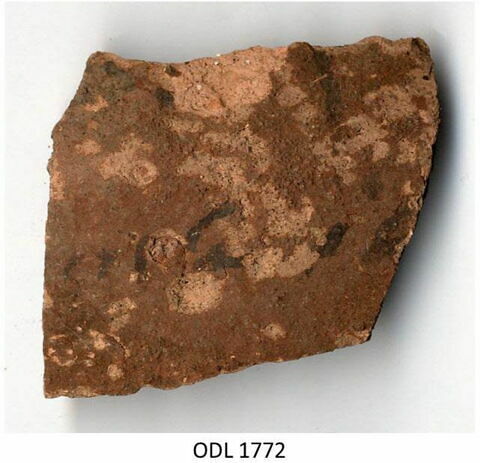 ostracon, image 1/1