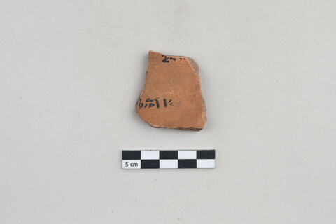 ostracon, image 1/3