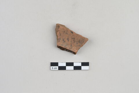 ostracon, image 2/4