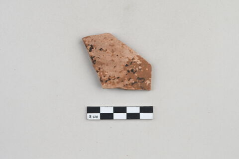 ostracon, image 1/3
