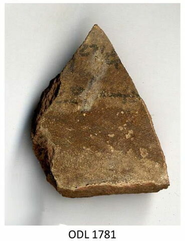 ostracon, image 1/1