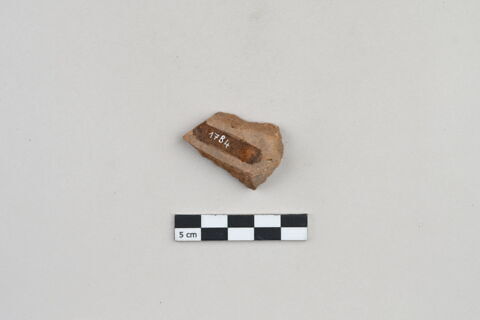 ostracon, image 2/3