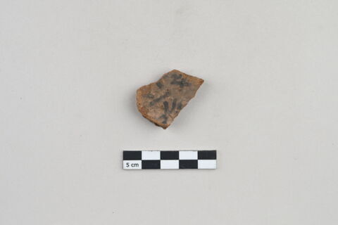 ostracon, image 1/3