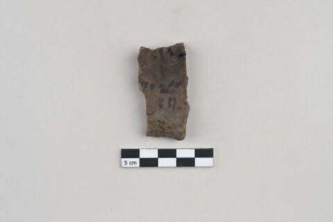 ostracon, image 1/3