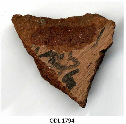 ostracon, image 1/1