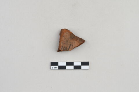 ostracon, image 1/5