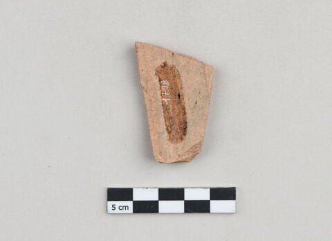 ostracon, image 2/3