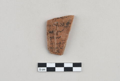 ostracon, image 1/3