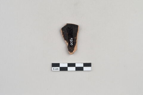 ostracon, image 2/3