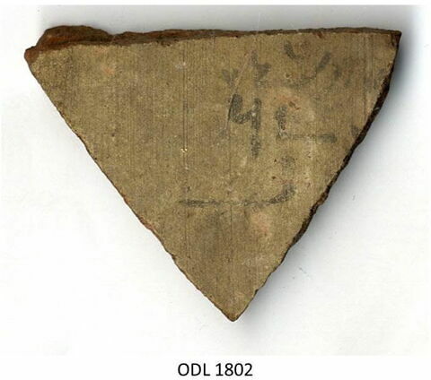 ostracon, image 1/1