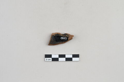 ostracon, image 2/3