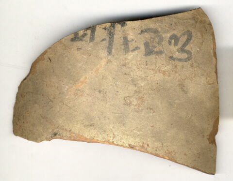 ostracon, image 1/1