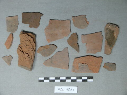 ostracon, image 1/1