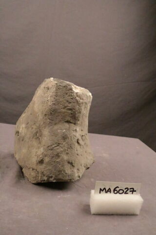 fragment, image 1/1