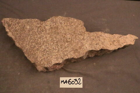 fragment, image 1/1