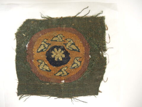 orbiculus ; fragment, image 2/2