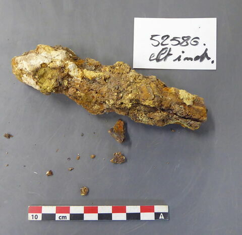 tige fragment, image 1/1