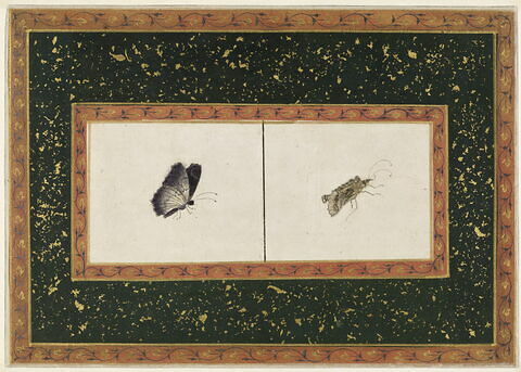 Deux papillons (page d'album), image 1/1