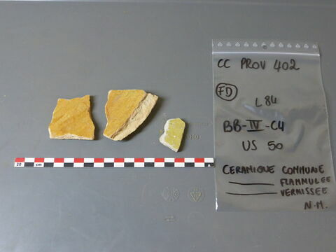 lèche-frite, fragment, image 1/1