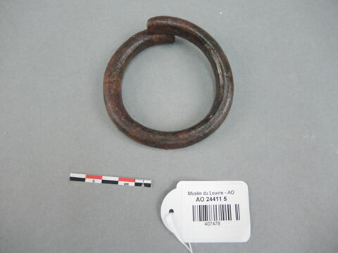 anneau, image 1/1