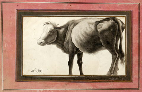 Vache (page d'album), image 3/3