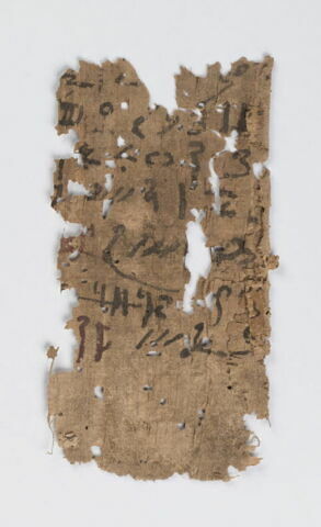 papyrus, image 2/2