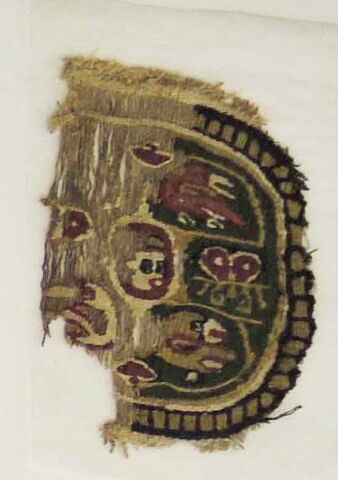 orbiculus ; fragment, image 2/2
