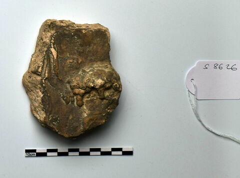 plaque Campana, image 1/1