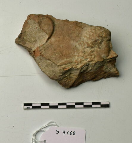 plaque Campana