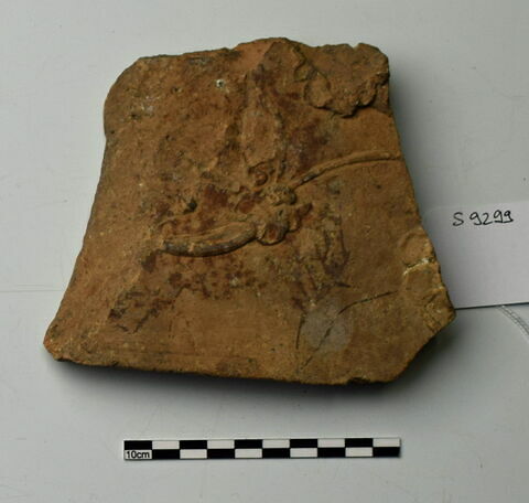 plaque Campana, image 1/1
