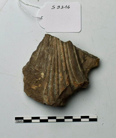 plaque Campana, image 1/1