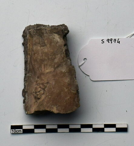 plaque Campana, image 1/1