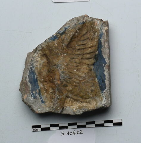 plaque Campana, image 1/1